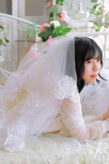 婆婆的镯子电视剧免费观看